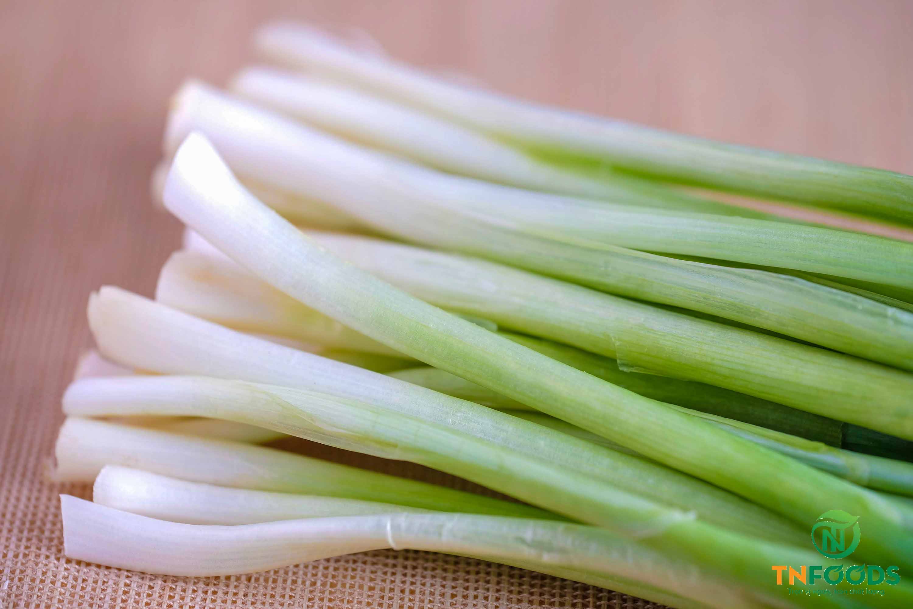 Hành-lá-tươi-Fresh-spring-onion