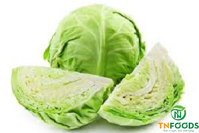 Bắp-cải-tươi-Fresh-cabbage